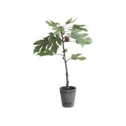 Chic Antique - Figentr i keramik potte H76 cm.