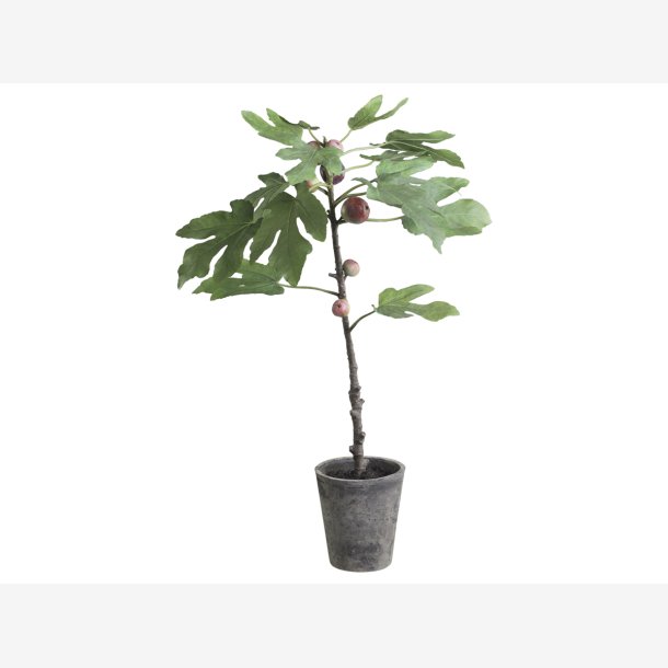 Chic Antique - Figentr i keramik potte H76 cm.