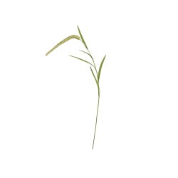 Chic Antique - Kunstig grsstr L95 cm. 