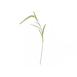 Chic Antique - Kunstig grsstr L95 cm. 