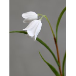 Chic Antique - Kunstig Vibeg L34 cm. 