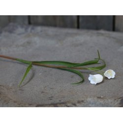 Chic Antique - Kunstig Vibeg L34 cm. 