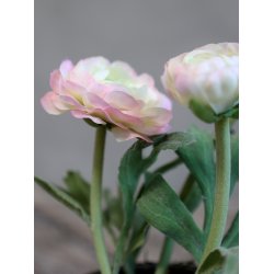 Chic Antique - Kunstig blomst, Ranunkel i keramik potte