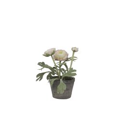 Chic Antique - Kunstig blomst, Ranunkel i keramik potte