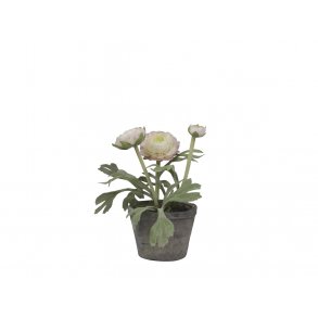 Chic Antique - Kunstig blomst, Ranunkel i keramik potte