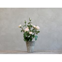 Chic Antique - Kunstig blomst, rose i keramik potte