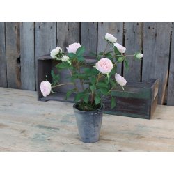 Chic Antique - Kunstig blomst, rose i keramik potte