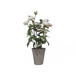 Chic Antique - Kunstig blomst, rose i keramik potte