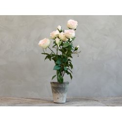 Chic Antique - Kunstig blomst, rose keramik potte
