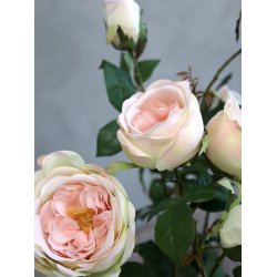 Chic Antique - Kunstig blomst, rose keramik potte