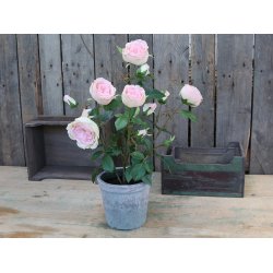 Chic Antique - Kunstig blomst, rose keramik potte