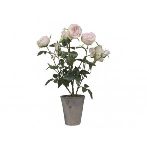 Chic Antique - Kunstig blomst, rose keramik potte