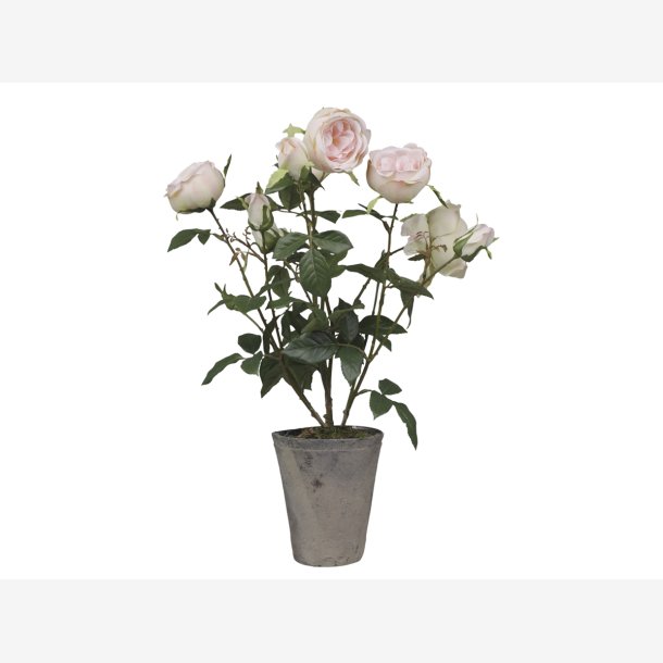 Chic Antique - Kunstig blomst, rose keramik potte