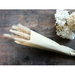 Chic Antique - Trret Pampasgrs 5-6stk. pr. bundt L ca.77 cm. 