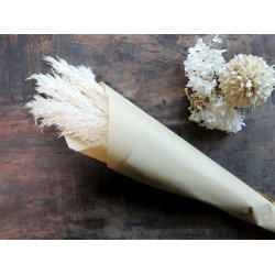 Chic Antique - Trret Pampasgrs 5-6stk. pr. bundt L ca. 78 cm. 