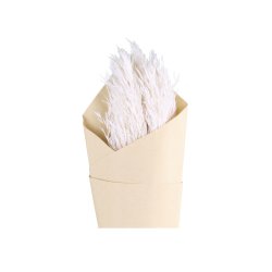 Chic Antique - Trret Pampasgrs 5-6stk. pr. bundt L ca. 78 cm. 