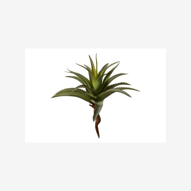 Speedtsberg - Kunstig Aloe Vera H35cm.