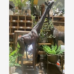 J-Line - Giraf figur Brun poly H: 73 cm. 