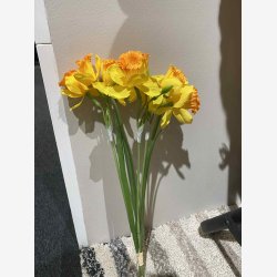 P�skelilje Bundt m. 3 stk. Gul H:41cm.