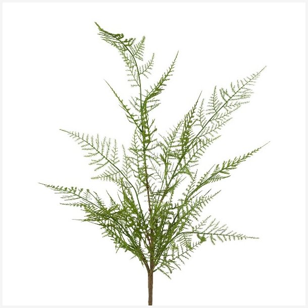 Bregne buket Grn H: 60 cm.