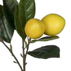 Gren med Citroner H:68cm.