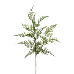 Bregne blad L: 81 cm.