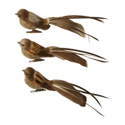 Speedtsberg - Fugl m. Klips og glimmer 17cm, Brun - flere varianter