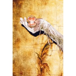 Vondels - Glaskugle ster Champagneglitter 7 cm