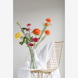 Krysantemum Stilke Buket m/7 stk. Orange L: 26,5 cm. 