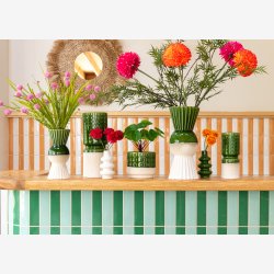 Krysantemum Stilke Buket m/7 stk. Orange L: 26,5 cm. 