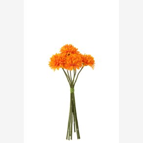 Krysantemum Stilke Buket m/7 stk. Orange L: 26,5 cm. 