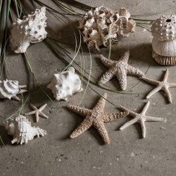 Speedtsberg - Sstjerner i polyresin, st m/3 stk. 