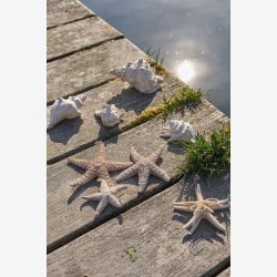 Speedtsberg - Sstjerner i polyresin, st m/3 stk. 