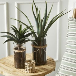 Speedtsberg - Aloe Vera Grn, H: 43 cm.