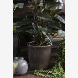 Ib Laursen vase m/riller &amp; krakeleret glasur H: 7,5 : 8 cm. 