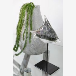 J-Line - Fisk p� fod Glas/Jern Gr�/Sort 23x8x30cm.