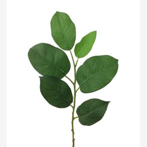 Bladgren Gr�n H:55 cm.