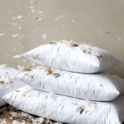Chic Antique - Monteringspude m. andefjer og -dun L92xB62 cm. 2000 g Creme