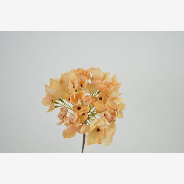 Hortensia blomst, Champagne L: 40 cm.