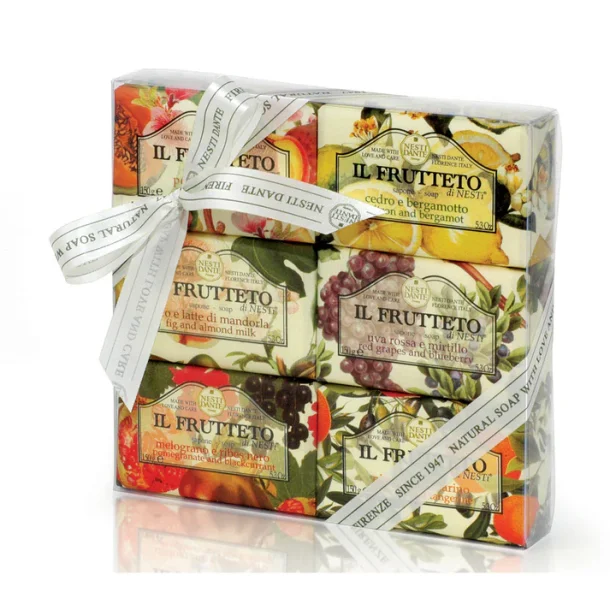 Nesti Dante - Gavest 6 x150g IL Frutetto hndsber