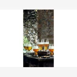 Luigi Bormioli Birrateque lglas ipa/ale Dia 8,8 x 18,4 cm 54 cl 2 stk. Klar