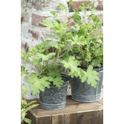 Ib Laursen | Zink skjuler H 17 D 18 cm