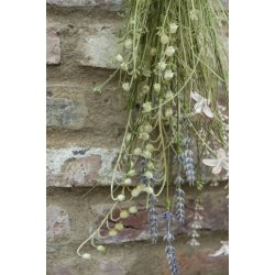 Ib Laursen - Blomst lavendel nuancer L: 50 cm.