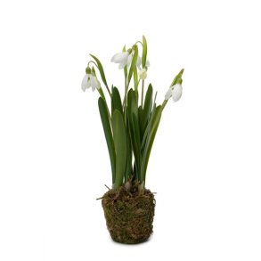 Vintergk p trv 25 cm.