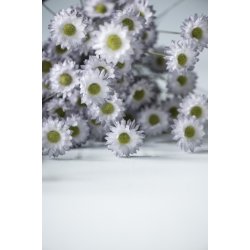 Ib Laursen Blomst lavendel nuancer L50cm.