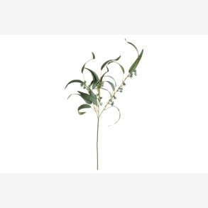 Speedtsberg Eukalyptus gren L: 78cm. 