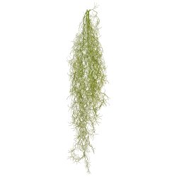 Barbara - Tillandsia H�ngeplante - Gr�/Gr�n - 80 cm