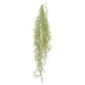 Barbara - Tillandsia H�ngeplante - Gr�/Gr�n - 80 cm