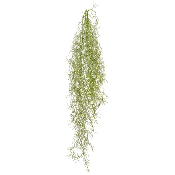 Barbara - Tillandsia H�ngeplante - Gr�/Gr�n - 80 cm