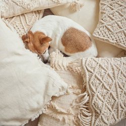 Speedtsberg - Pude m/frynser inkl. dun fyld Beige 35 x 55cm